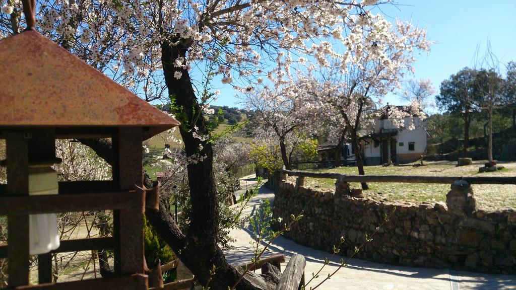 瓦尔多拉扎佐乡村民宿 Los Navalucillos 外观 照片